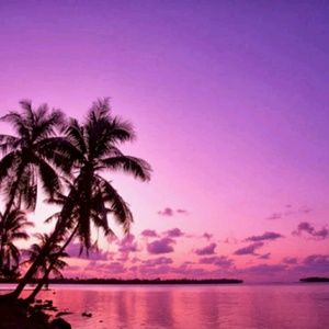 Meet your Posher, Meghan